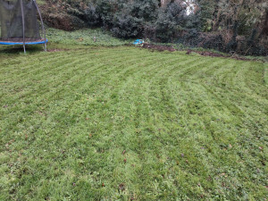 Photo de galerie - Tonte de pelouse - Débroussaillage