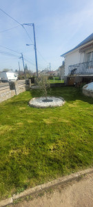 Photo de galerie - Paysagiste - Aménagement du jardin