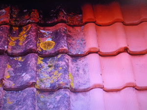 Photo de galerie - Avant après, nettoyage mousse