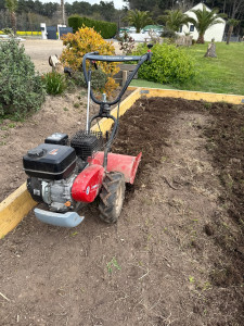 Photo de galerie - Motoculteur 