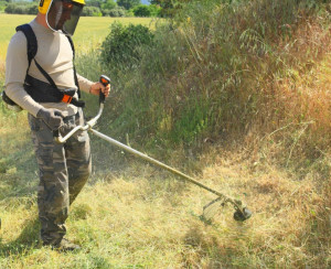 Photo de galerie - Tonte de pelouse - Débroussaillage
