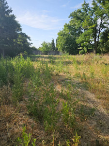 Photo de galerie - Avant 