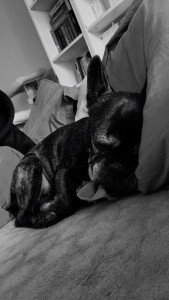 Photo de galerie - Moly