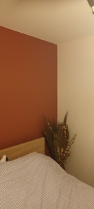 Photo de galerie - Peinture chambre (murs/plafond)