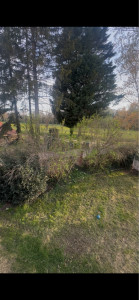 Photo de galerie - Avant 