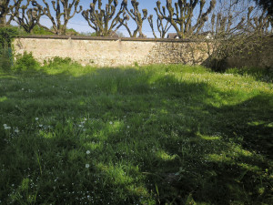 Photo de galerie - Débroussaillage 