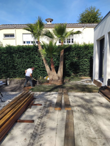 Photo de galerie - Paysagiste - Aménagement du jardin