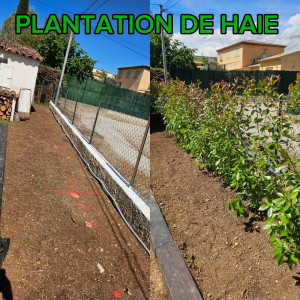 Photo de galerie - Réalisation d'une haie
