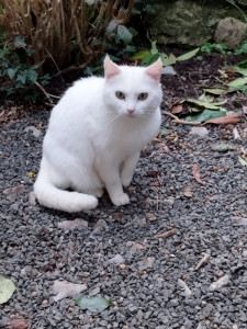 Photo de galerie - Visites à domicile 