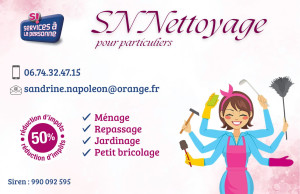 Photo de galerie - Menage et repassage 
petit bricolage et jardinage
+ de 20 ans d expériences à votre service 