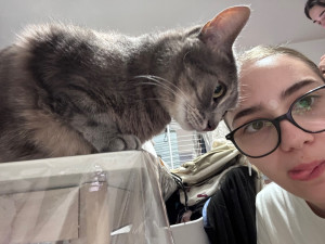 Photo de galerie - Garde du chat des voisins pendant plusieurs jours 