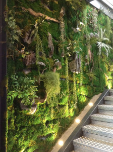 Photo de galerie - Montée d'escalier mur végétal stabilisé