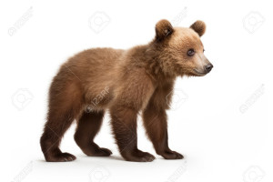 Photo de galerie - La persévérance