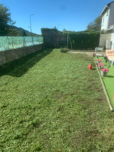 Photo de galerie - Tonte