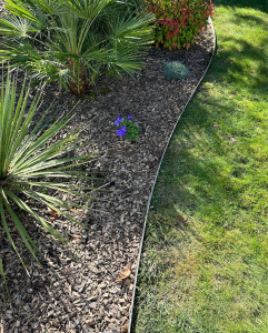 Photo de galerie - Jardin / Espace vert
