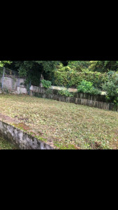 Photo de galerie - Tonte de pelouse - Débroussaillage