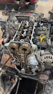 Photo de galerie - Distribution 