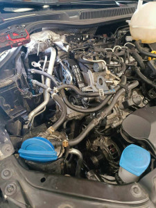 Photo de galerie - Distribution 