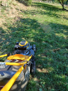 Photo de galerie - Tonte de pelouse
(Chassiers)