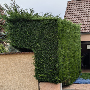 Photo de galerie - Avant 