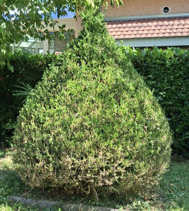 Photo de galerie - Après 