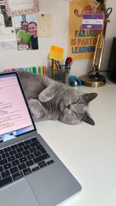 Photo de galerie - Garde des 2 frères pendant 1 mois en septembre 2025