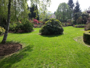 Photo de galerie - Entretien d'un jardin '(tonte et massifs)