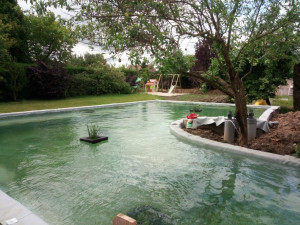 Photo de galerie - Bassin pvc