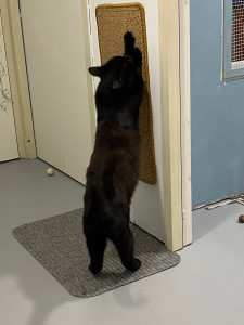 Photo de galerie - Samy au gratoir