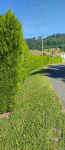 Photo de galerie - Avant 