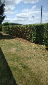 Photo de galerie - Jardinier