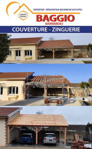 Photo de galerie - Réalisation d'une toiture d'un carport avec sa gouttière en zinc 