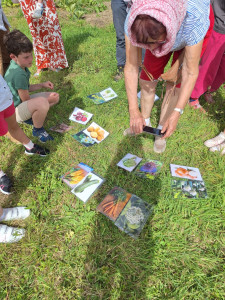 Photo de galerie - Atelier sur les légumes du jardin avec les enfants