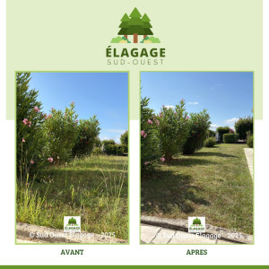 Photo de galerie - AVANT / APRÈS : Tonte de pelouse - Entretien jardin ?