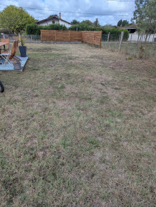 Photo de galerie - Tonte de pelouse 
