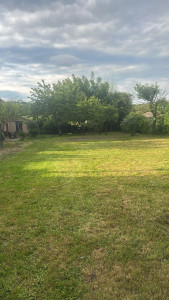 Photo de galerie - Tonte de pelouse 