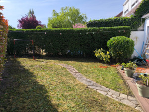 Photo de galerie - Tonte de pelouse, haies , nettoyage gouttière, tailles arbustes 