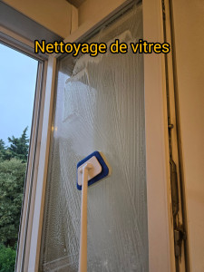 Photo de galerie - Nettoyage général des vitres