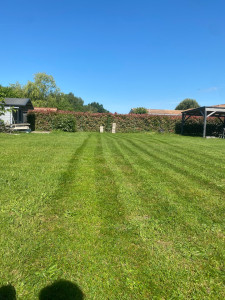 Photo de galerie - Tonte régulière 