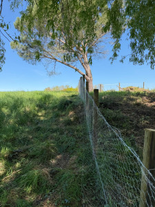 Photo de galerie - Réparation clôture triple torsion 