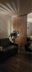 Photo de galerie - Petite séparation salon salle à manger 