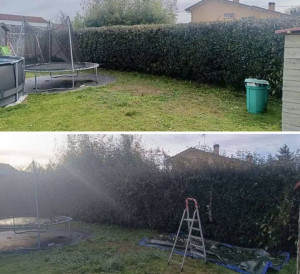 Photo de galerie - Taille de haies et d'arbustes