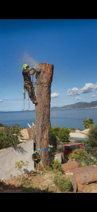 Photo de galerie - Démontage sur rétention 