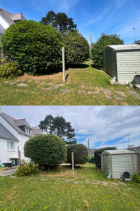 Photo de galerie - Taille de haies et d'arbustes