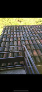 Photo de galerie - Nettoyage plus traitement fongicide + hydrofuge (AVANT)