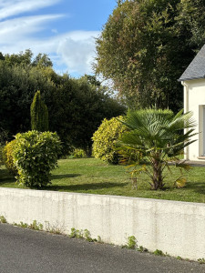 Photo de galerie - Tonte et débroussaillage 