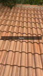 Photo de galerie - Couverture - Toiture