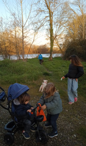 Photo de galerie - Nous sommes partis donc promener il s'était très content ils se sont bien défoulés