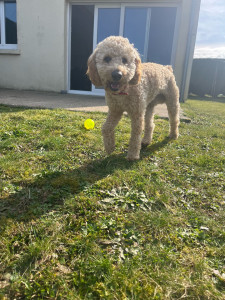 Photo de galerie - Le petit bébé 