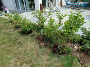 Photo de galerie - Paysagiste - Aménagement du jardin